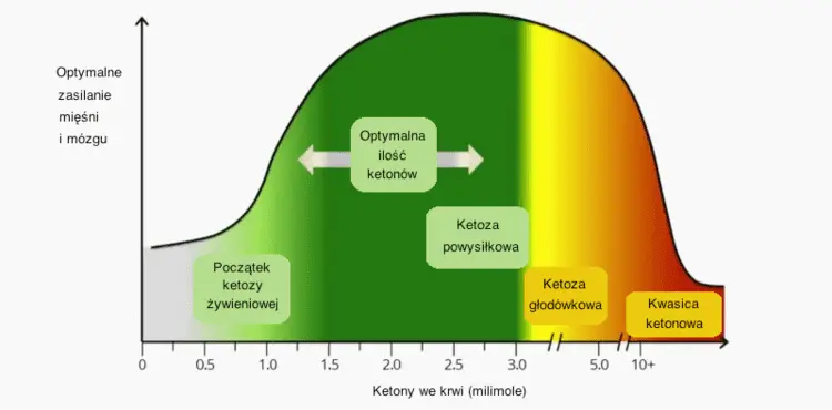 optymalny poziom ketozy