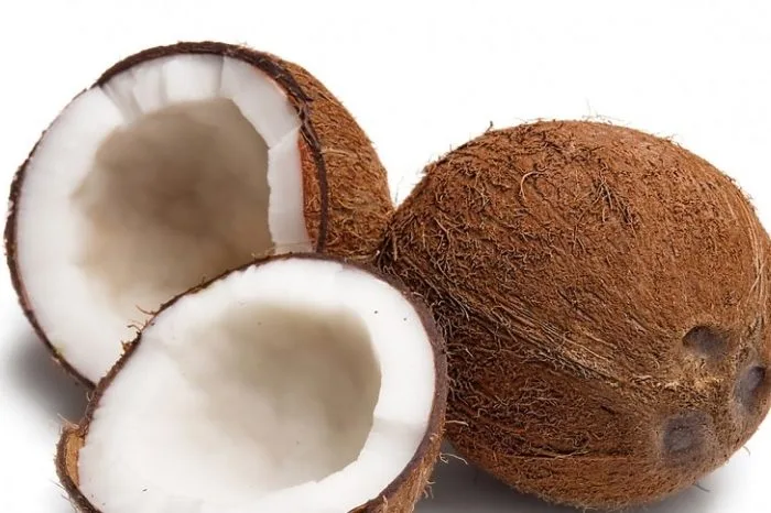 kokos