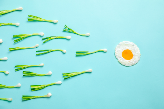 jak dieta wpływa na płodność