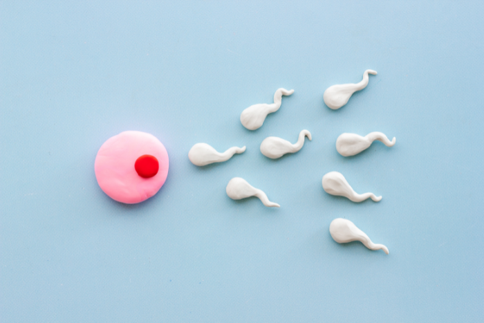 wpływ diety na płodność